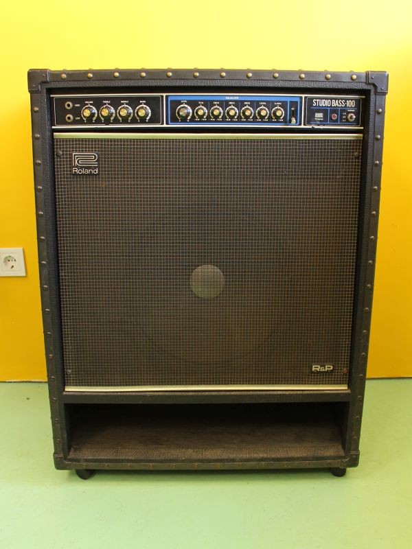 Roland Studio Bass 100 Bass  